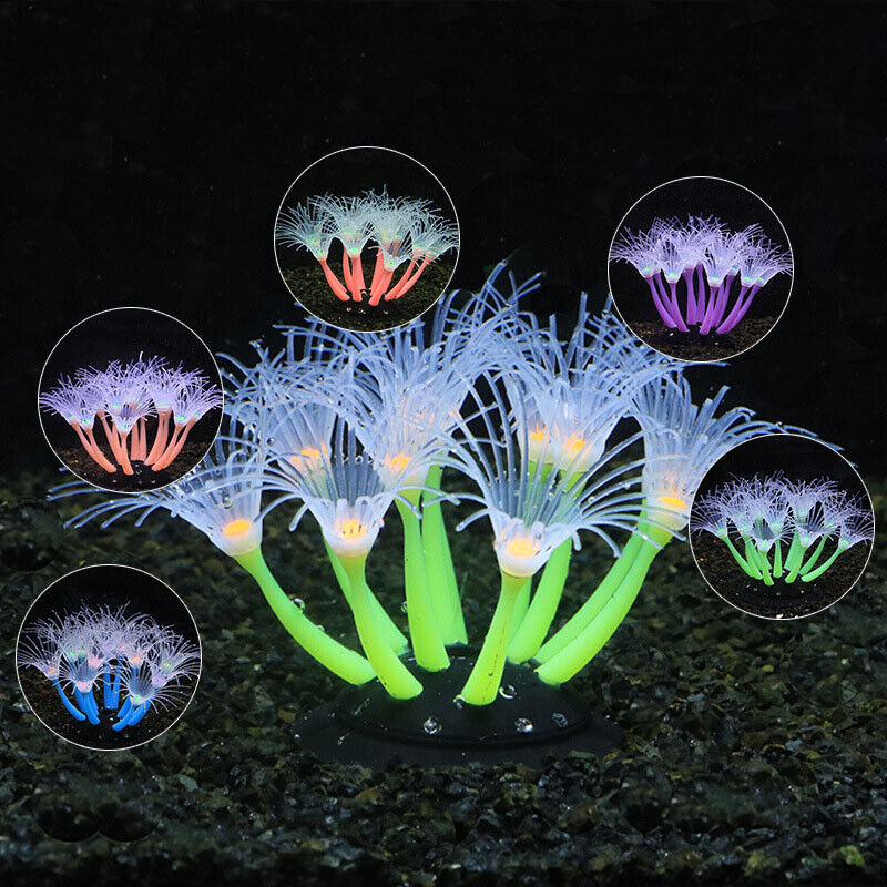 Silicone Glowing Landscape Art - Aquarium Plants Live ulasan dan harga