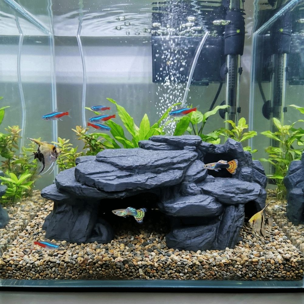 3D Printing Fish Tank Rockery  - Aquarium Plants Live ulasan dan harga