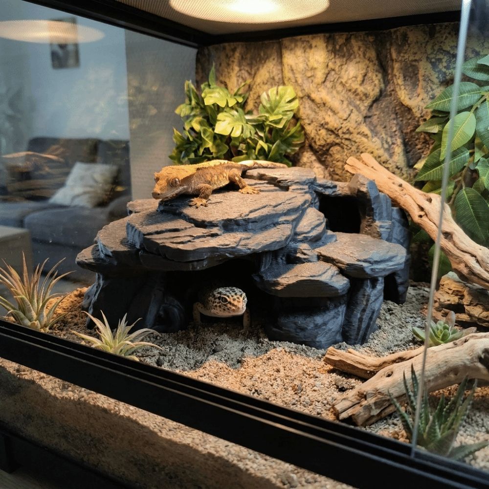 3D Printing Fish Tank Rockery  - Aquarium Plants Live ulasan dan harga
