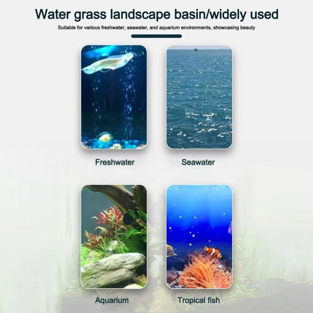 10Pcs Transparent Plant Hydrop - Plant Aquarium Pot ulasan dan harga