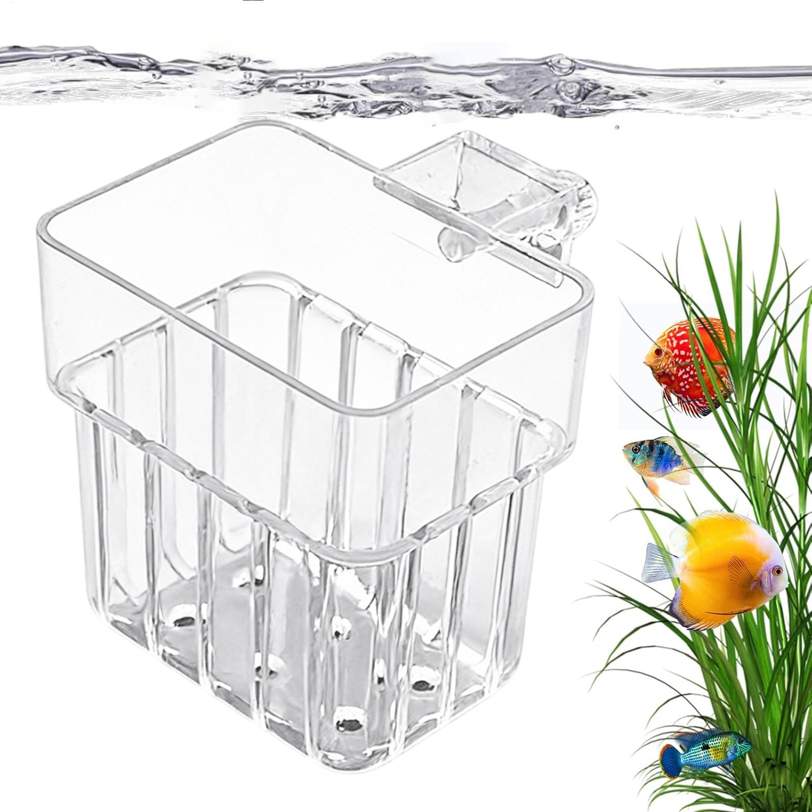 Transparent Hangable Aquarium  - Plant Aquarium Pot ulasan dan harga