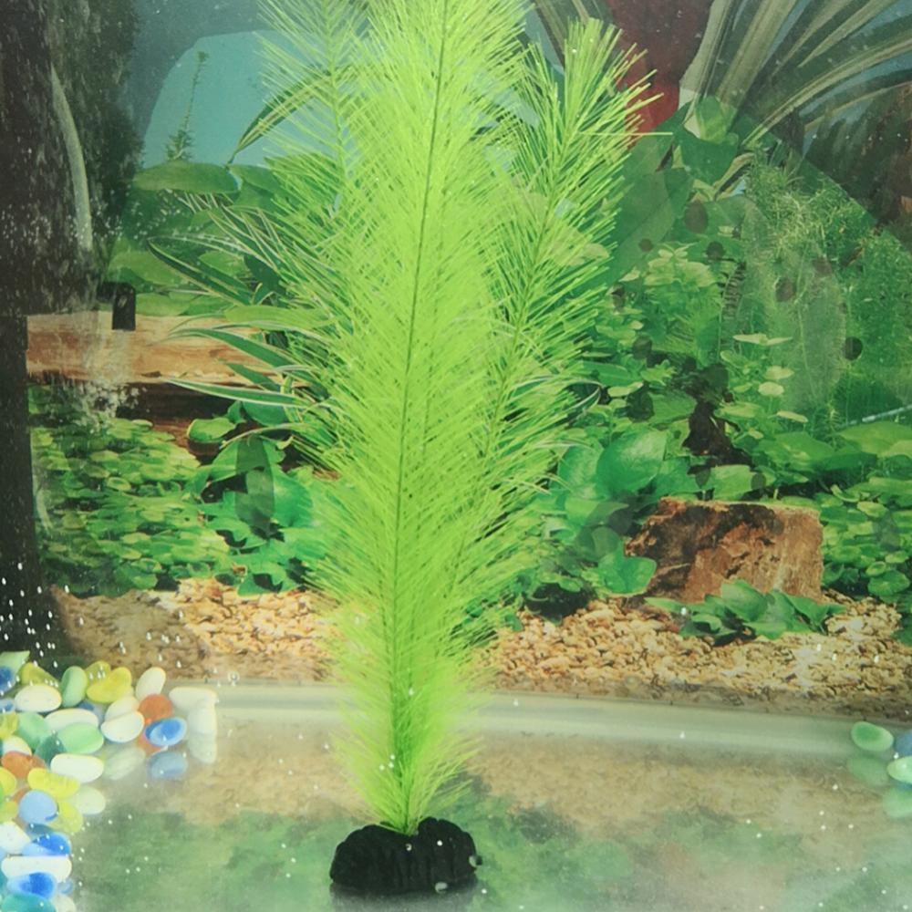1/3Pcs 28/40cm Aquarium Fish T - Live Plant Aquarium ulasan dan harga