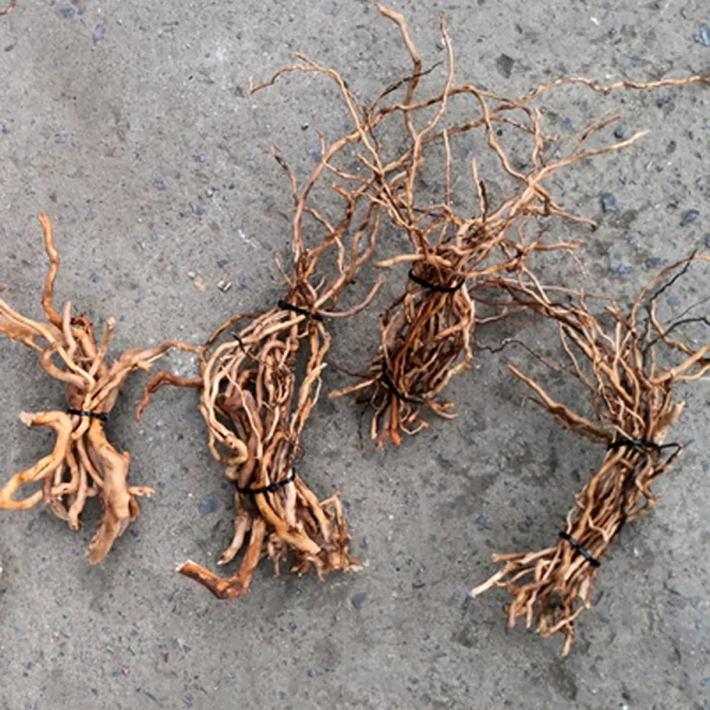 Natural Driftwood Root Trunk T - Aquarium Driftwood ulasan dan harga