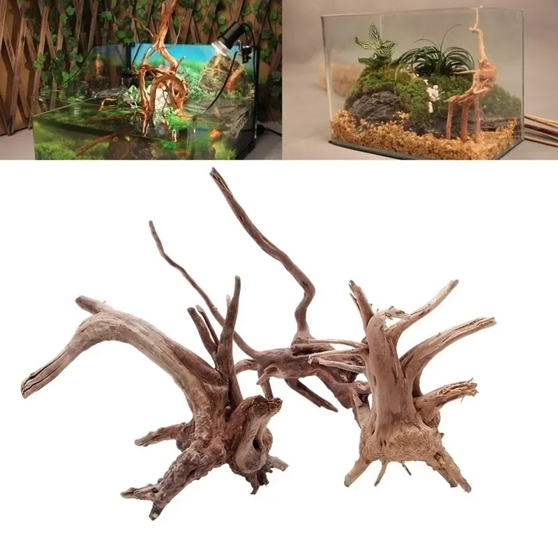 Natural Tree Trunk Driftwood A - Aquarium Plants Live ulasan dan harga