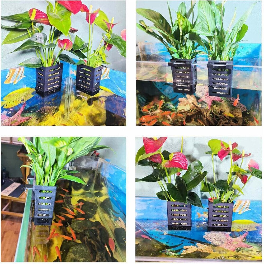 Aquarium Fish Tank Plant Holde - Aquarium Plant Holder ulasan dan harga