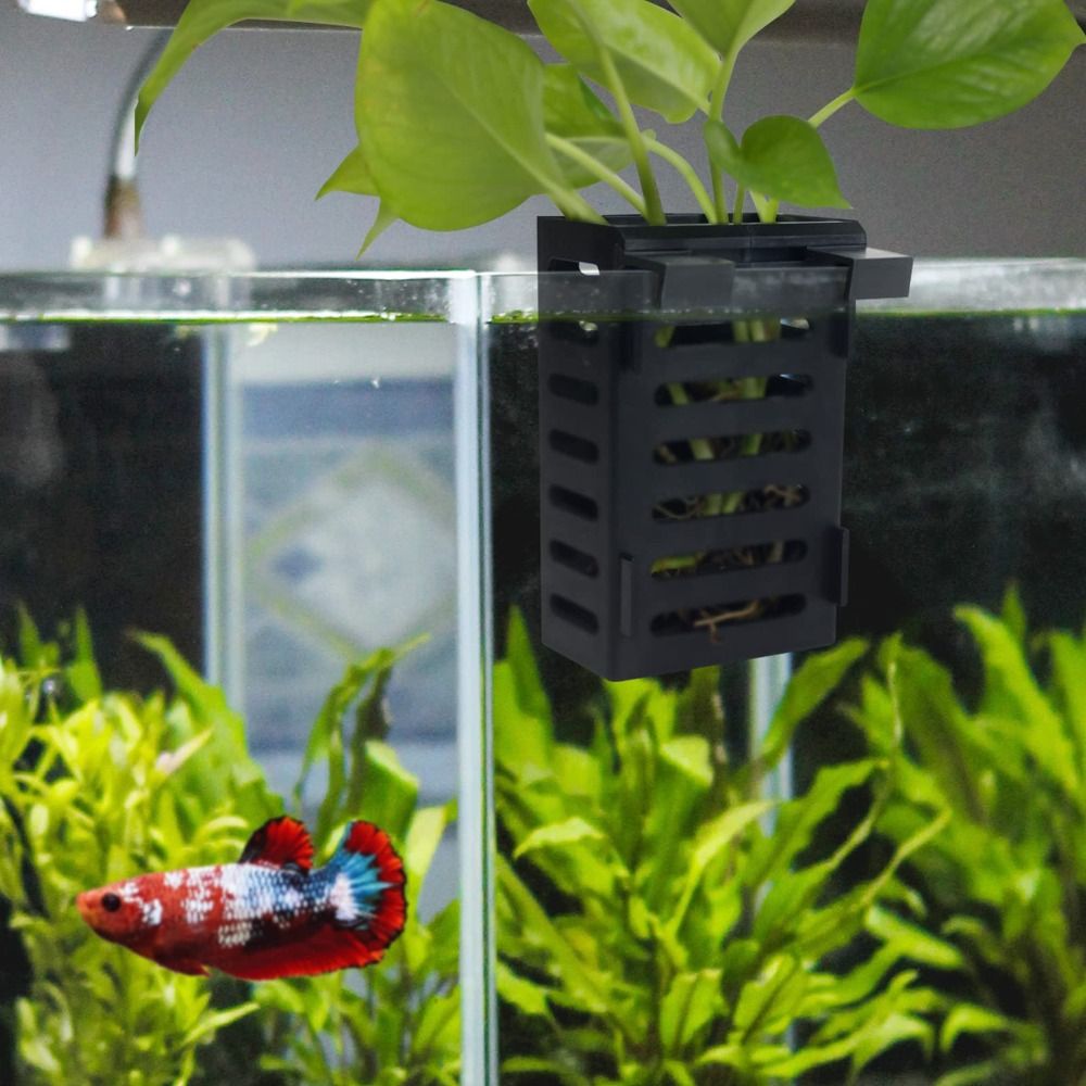 Aquarium Fish Tank Plant Holde - Aquarium Plant Holder ulasan dan harga