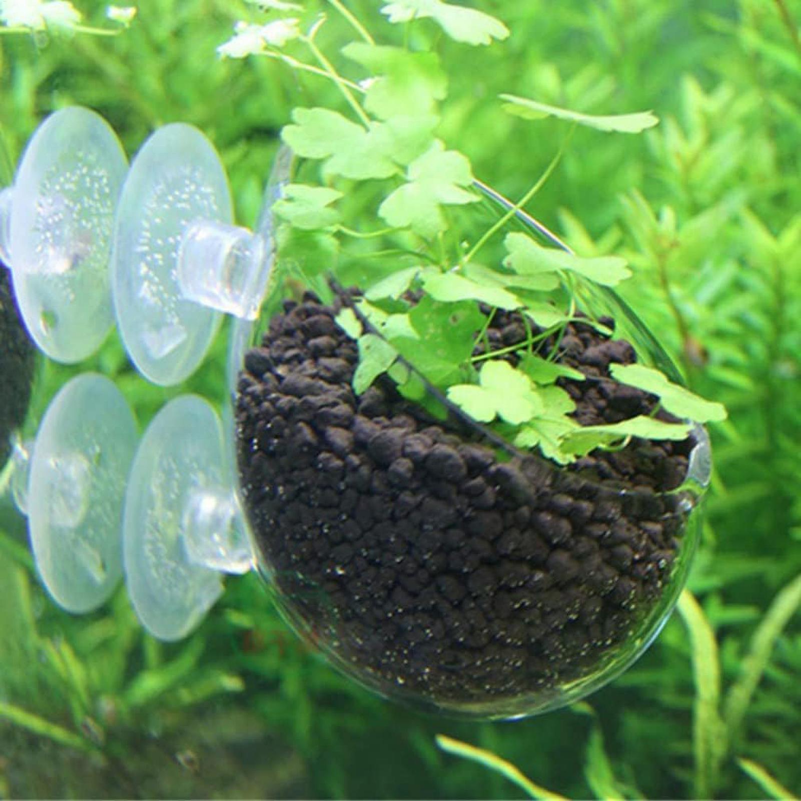 Aquarium Plant Holder Glass Aq - Plant Aquarium Pot ulasan dan harga