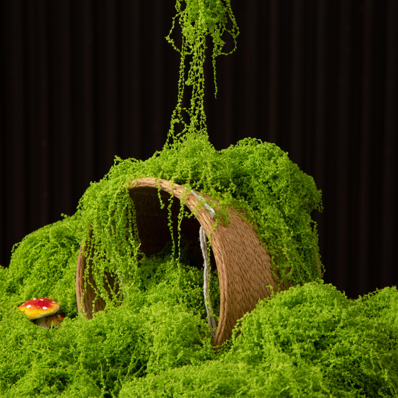 200g Eternal Life Moss DIY Cra - Aquarium Moss ulasan dan harga