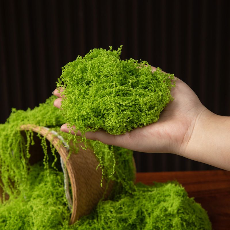 200g Eternal Life Moss DIY Cra - Aquarium Moss ulasan dan harga