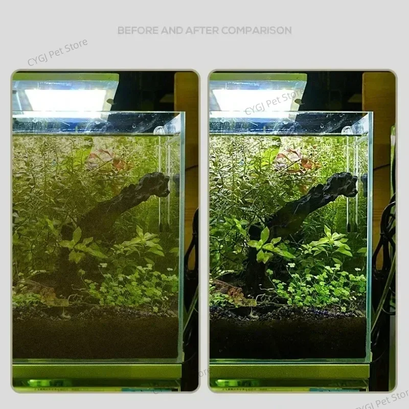 Fish Tank Cleaning Tool Flat S - Planted Aquarium Cleaning ulasan dan harga