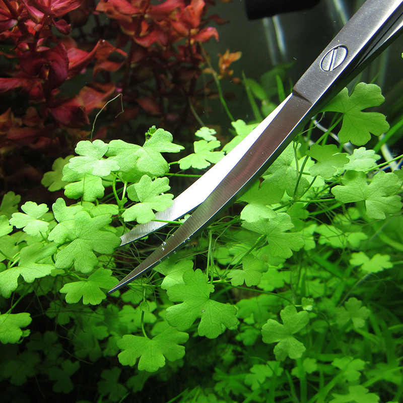 Aquarium Accessories Hard Stai - Planted Aquarium Cleaning ulasan dan harga