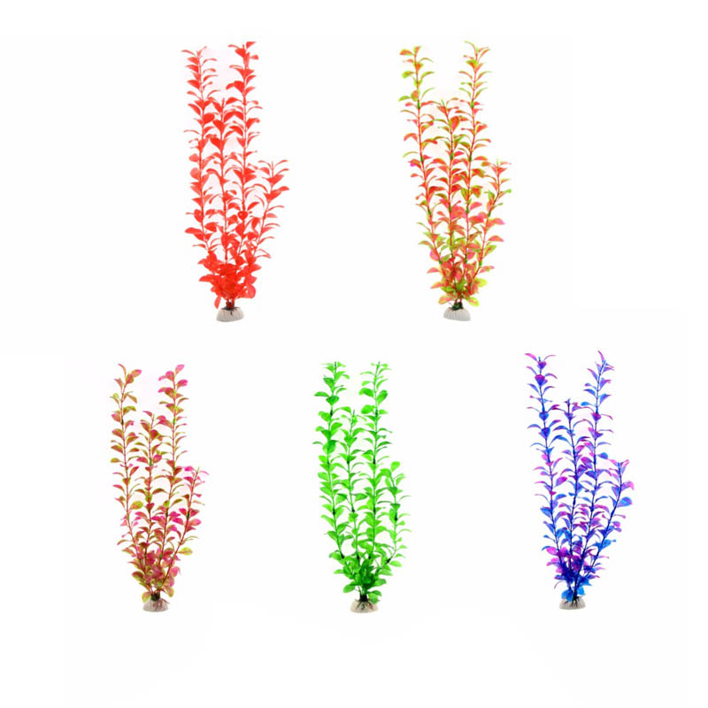 Ornament Aquarium Accessories  - Live Plant Aquarium ulasan dan harga