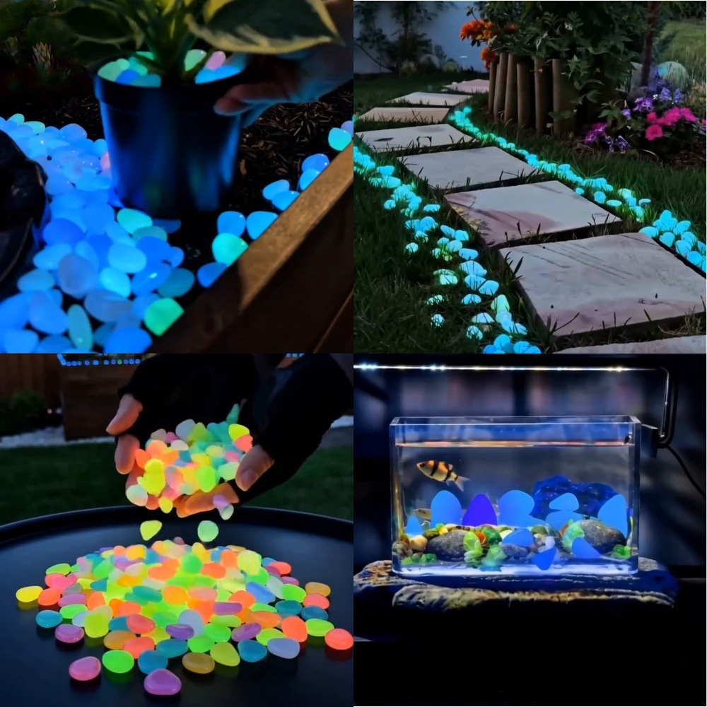 Colorful Glow In The Dark Lumi - Planted Tank ulasan dan harga