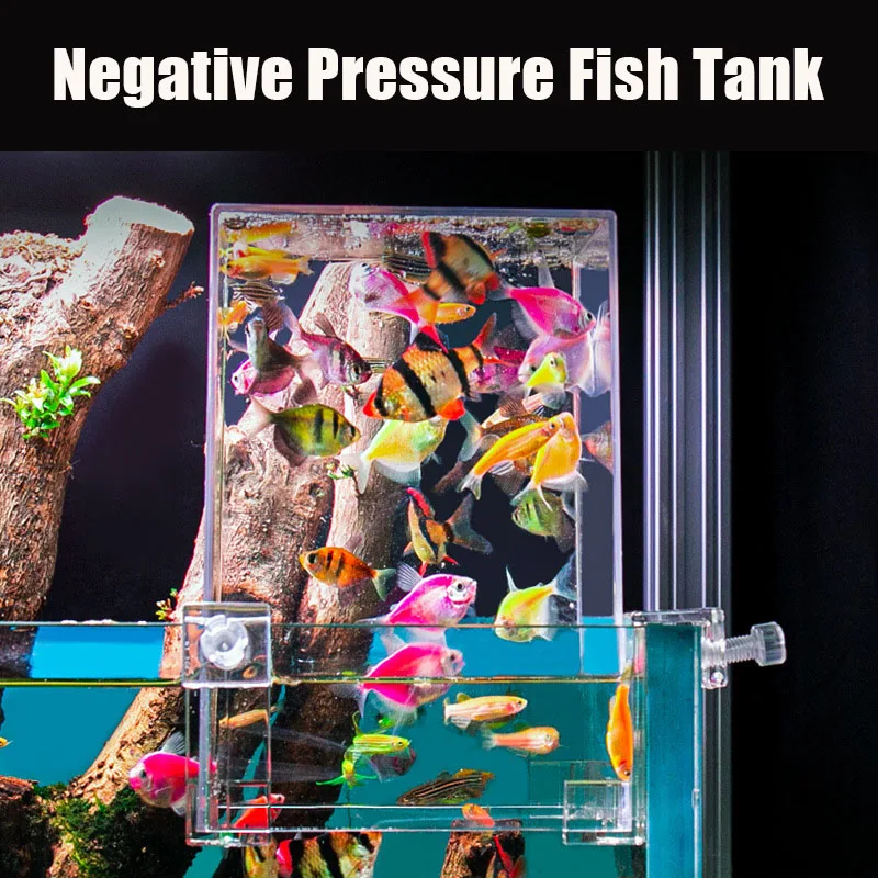 Creative Aquarium Tanks Negati - Plant Aquarium Pot ulasan dan harga