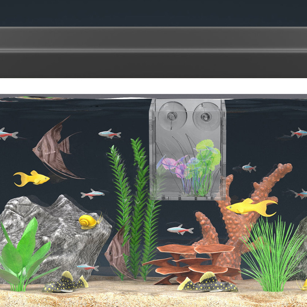 3Pcs Aquarium Plant Holder Cle - Plant Aquarium Pot ulasan dan harga