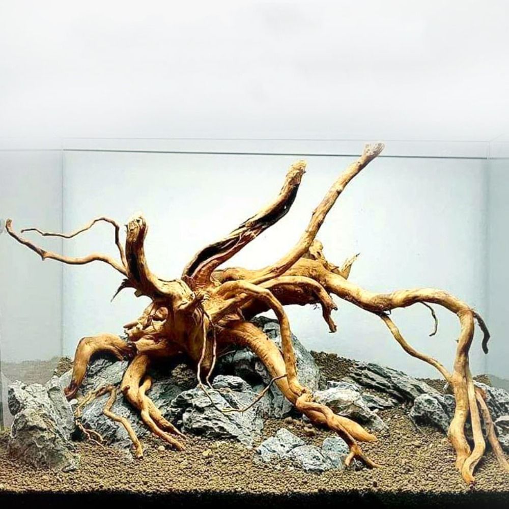 20-25CM Large Aquarium Driftwo - Aquarium Driftwood ulasan dan harga