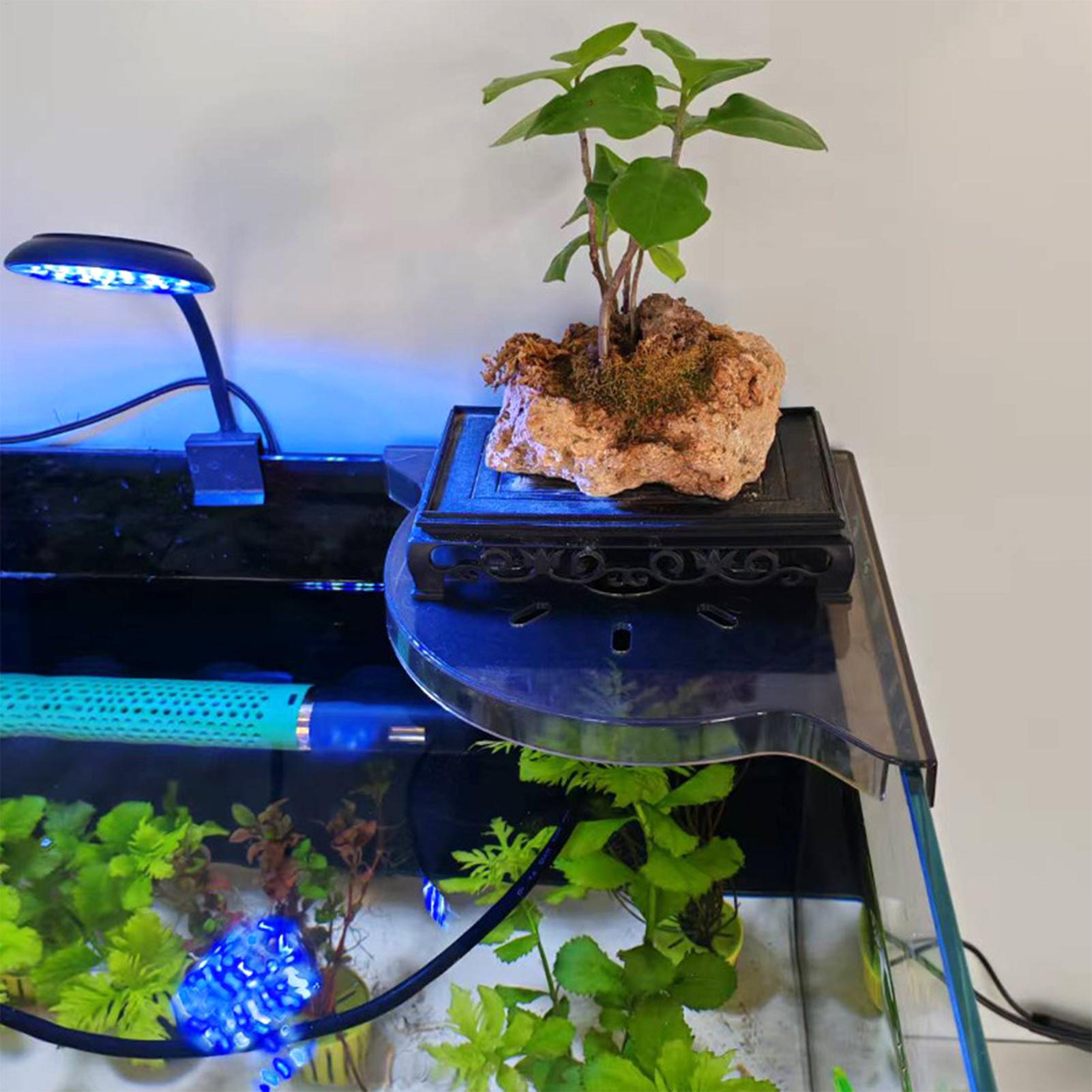 Triangle Fish Tank Corner Stor - Aquarium Plants Live ulasan dan harga