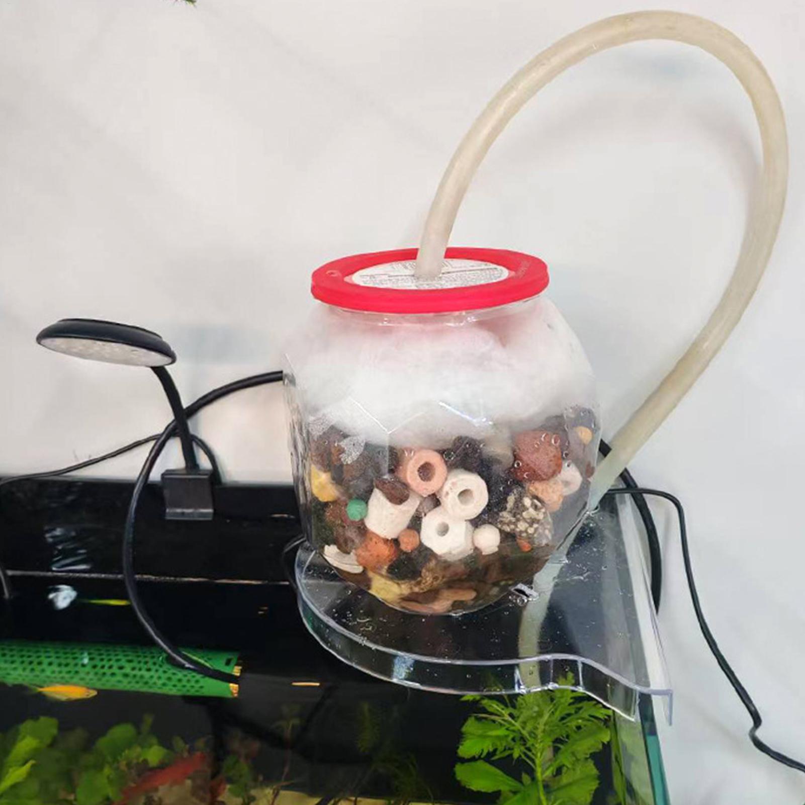 Triangle Fish Tank Corner Stor - Aquarium Plants Live ulasan dan harga