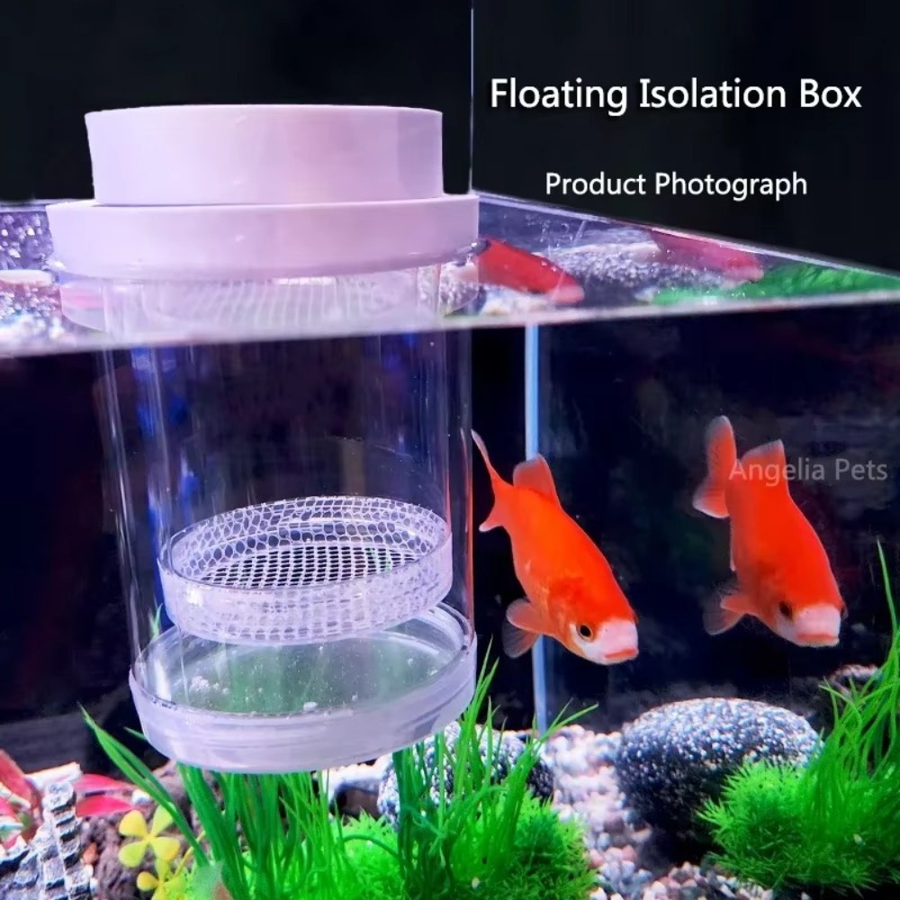 Plastic Floating Fish Breeding - Aquarium Fertilizer ulasan dan harga