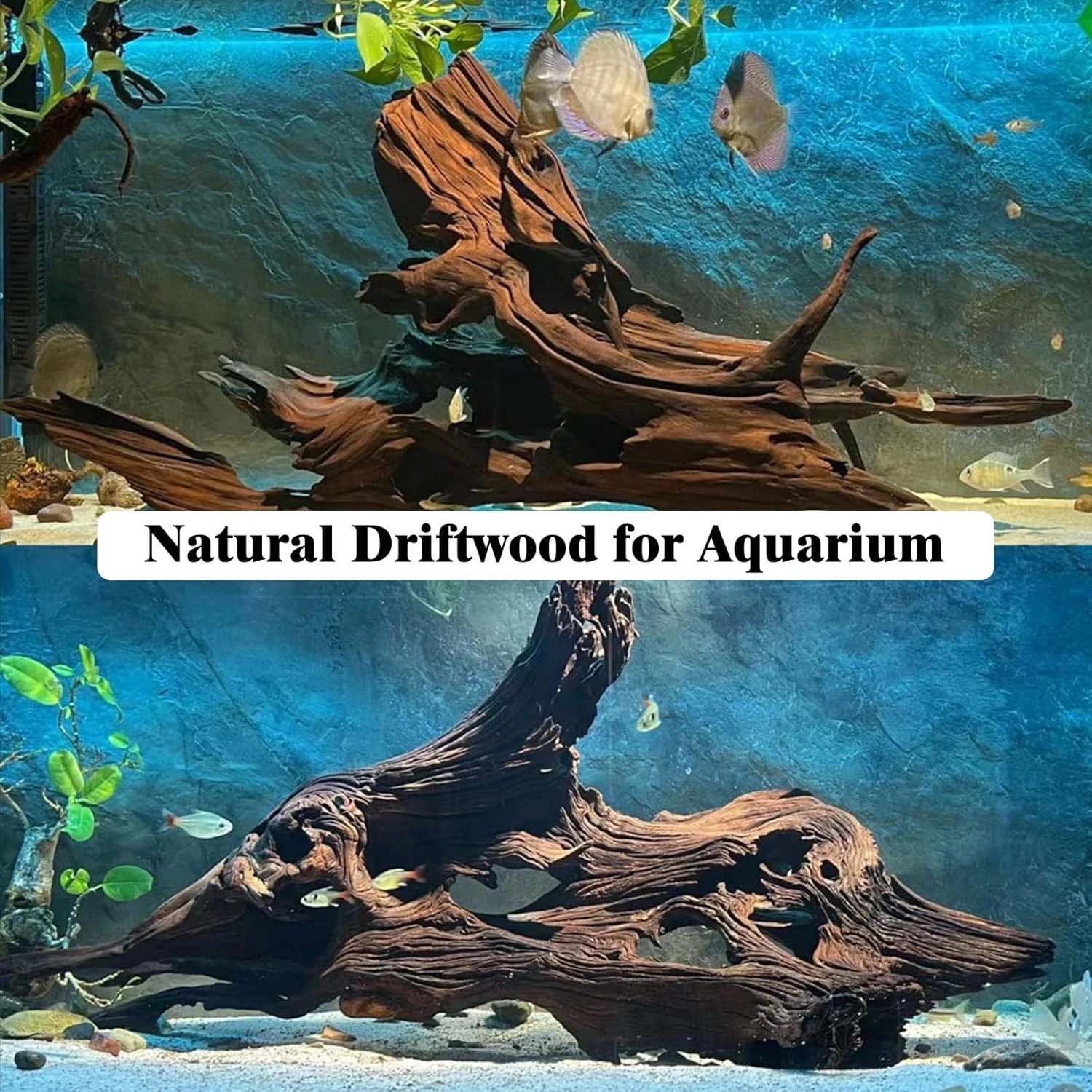 15-20CM 1Pc Natural Driftwood  - Aquarium Plant Substrate ulasan dan harga