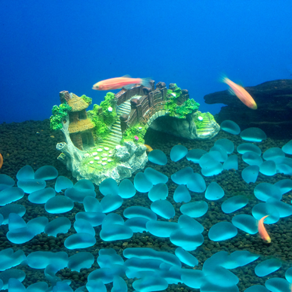 Aquarium Accessories Arbor Tre - Aquarium Plant Substrate ulasan dan harga