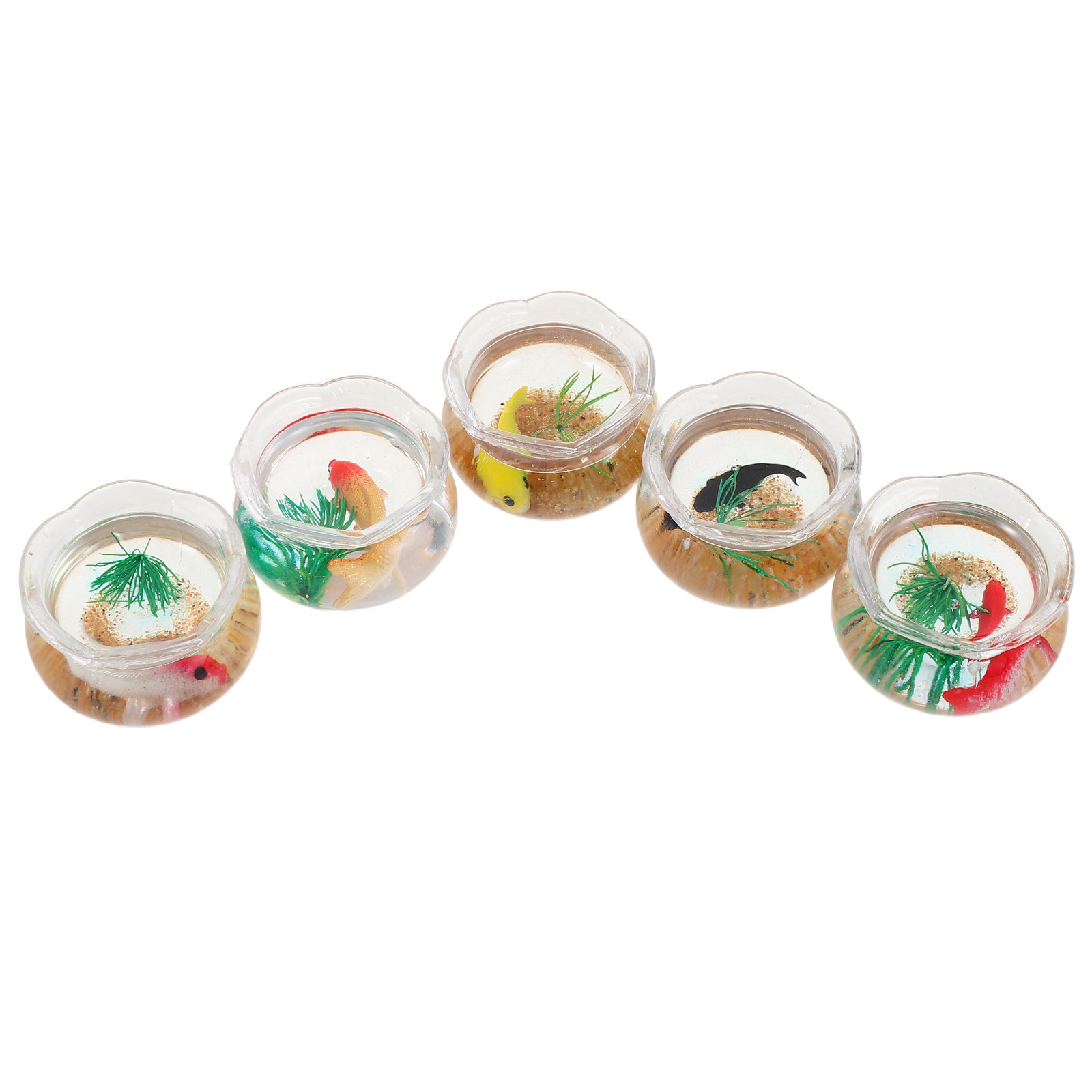 5pcs Miniature Koi Fish Tank:  - Planted Tank ulasan dan harga