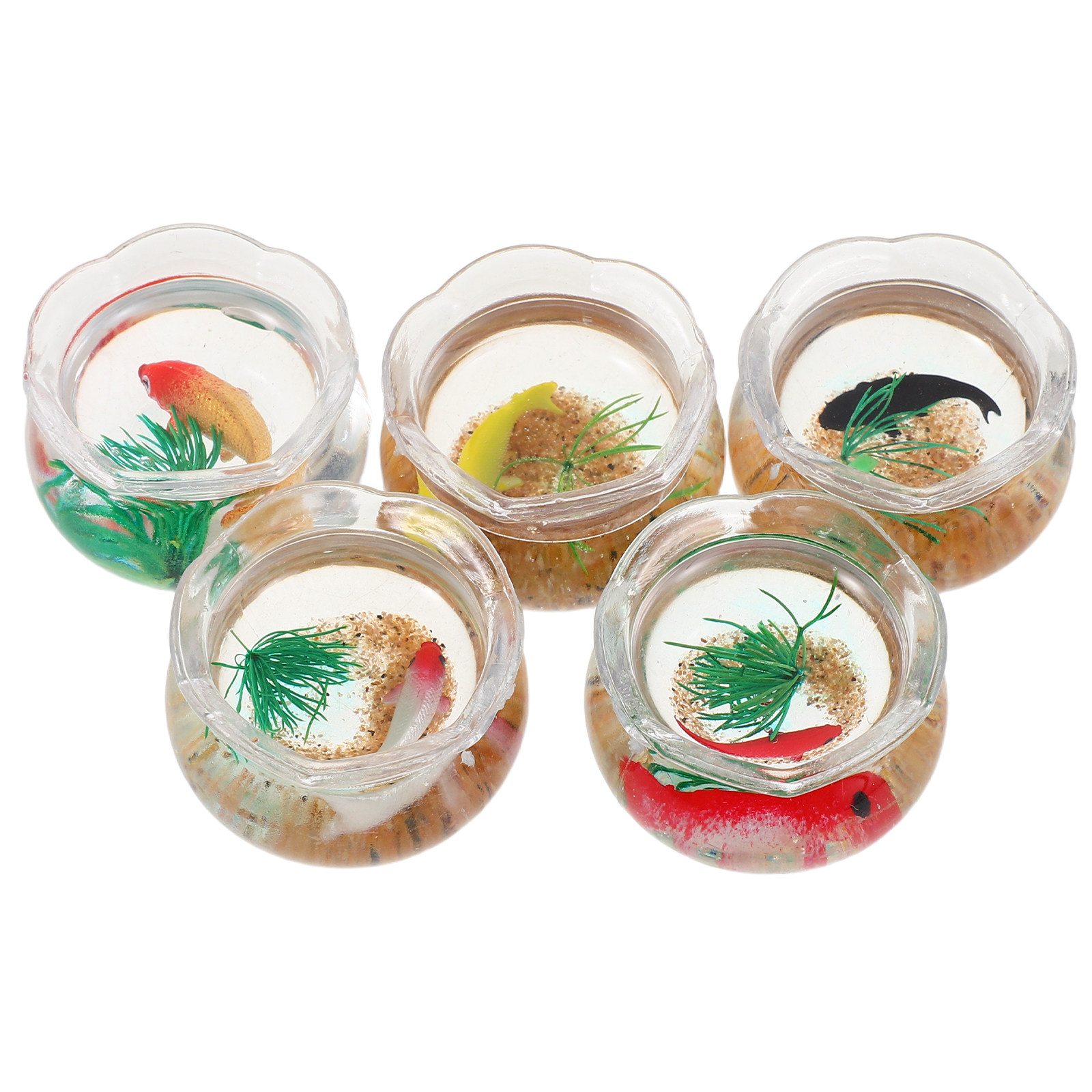 5pcs Miniature Koi Fish Tank:  - Planted Tank ulasan dan harga