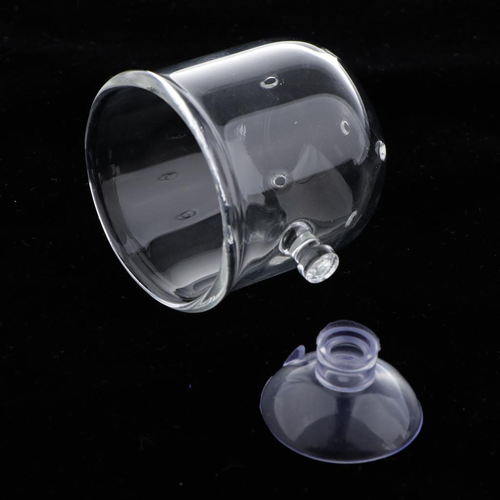 Fish Feeding Basket Glass Aqua - Plant Aquarium Pot ulasan dan harga